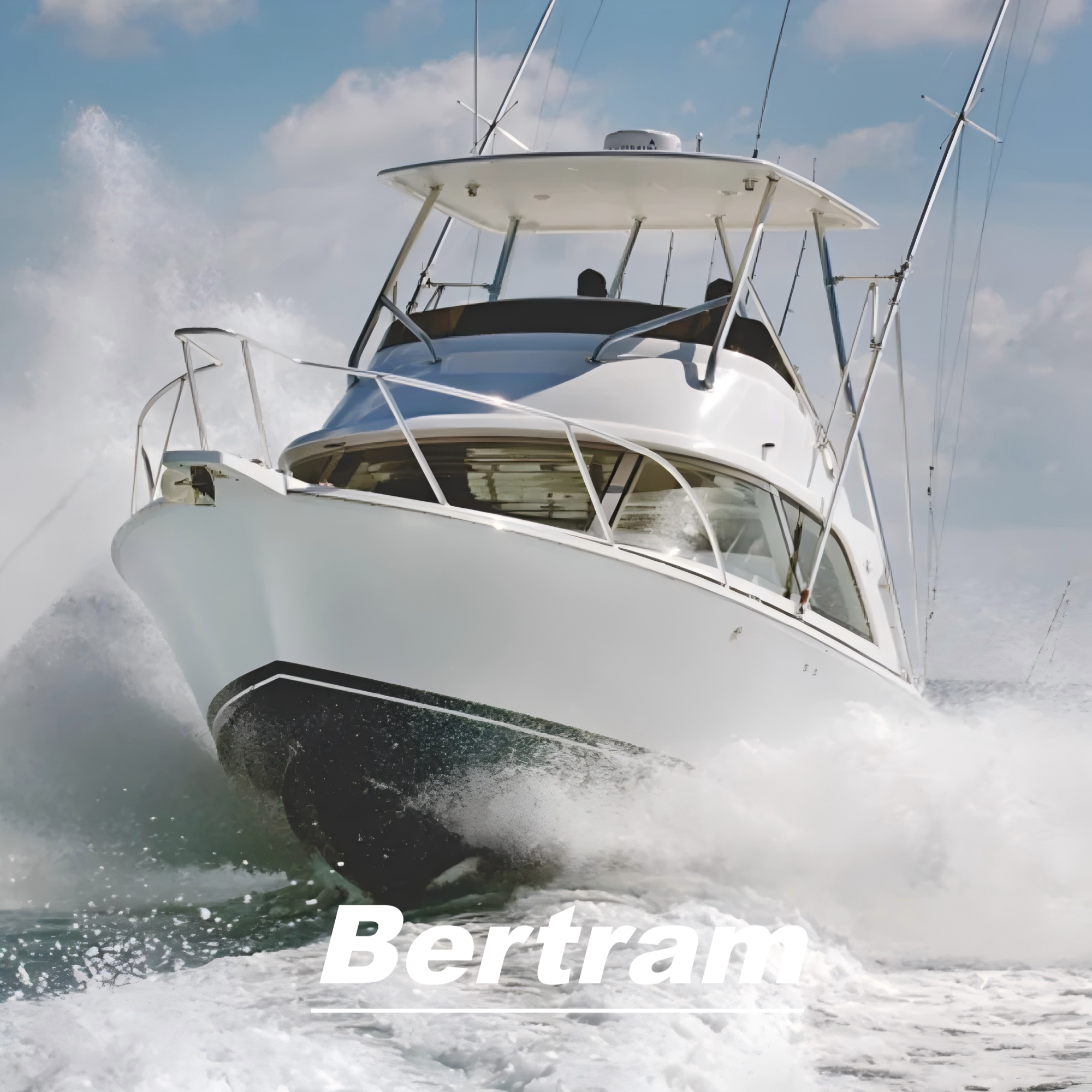 Customized Boat Flooring Series of Bertram Boat Mats