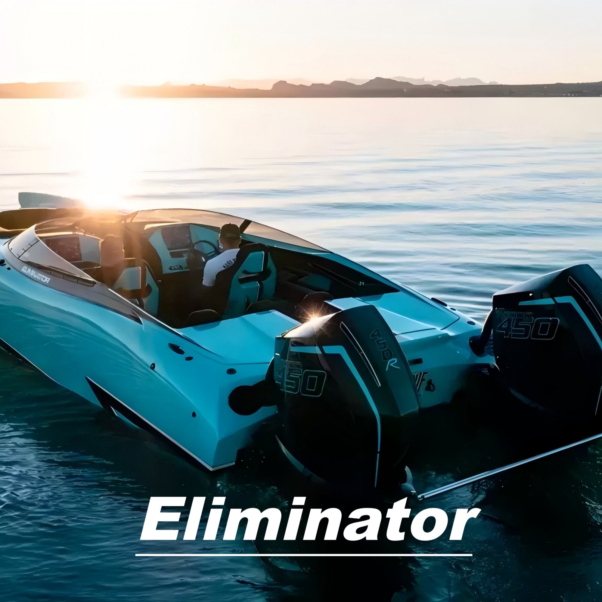 Customized Boat Flooring Series of Eliminator Boat Mats
