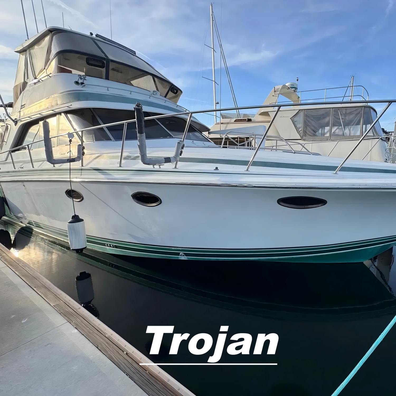 Customized Boat Flooring Series of Trojan Boat Mats