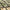 3M Self Adhesive EVA Foam Sheets - Forest Camo and Black H Groove Boat Flooring HzKaiCun